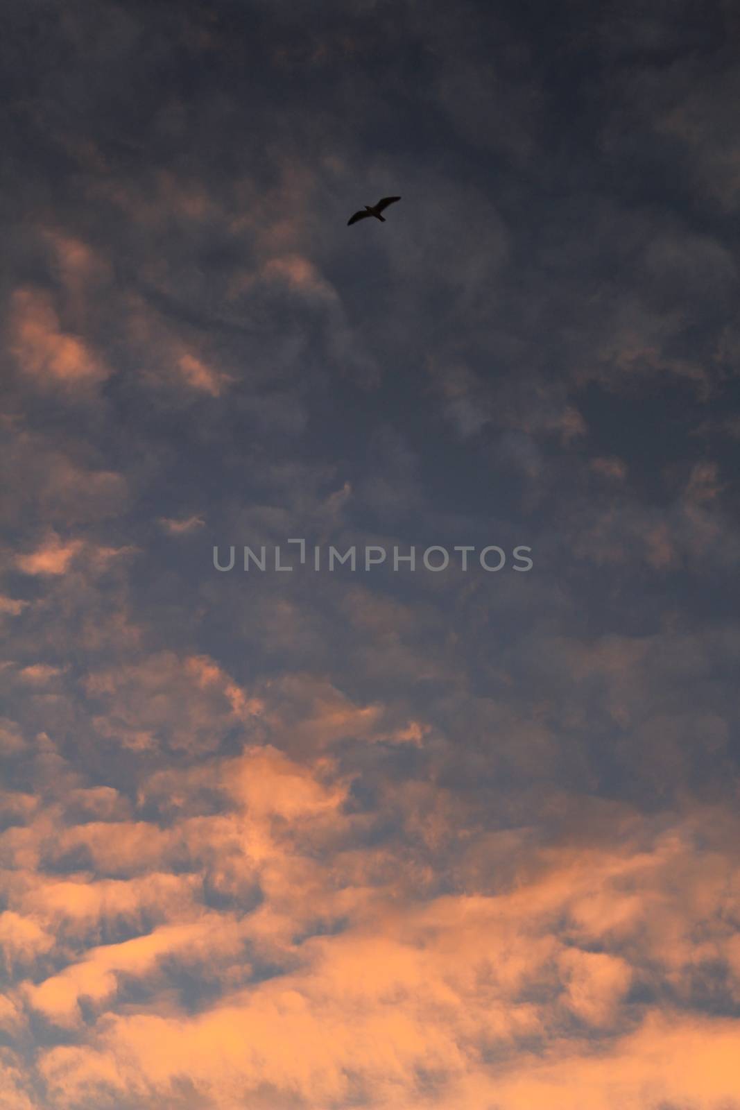 Sunset in Santa Pola, a small fishing village in southern Spain 