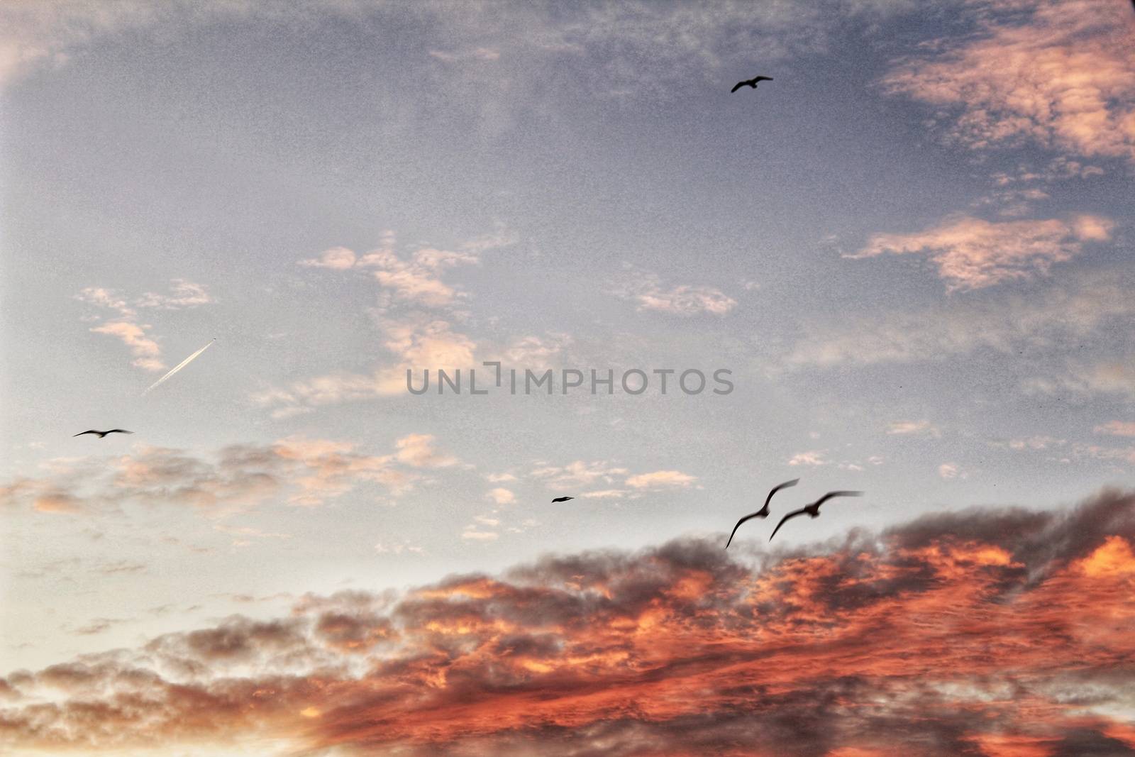 Sunset in Santa Pola, a small fishing village in southern Spain 