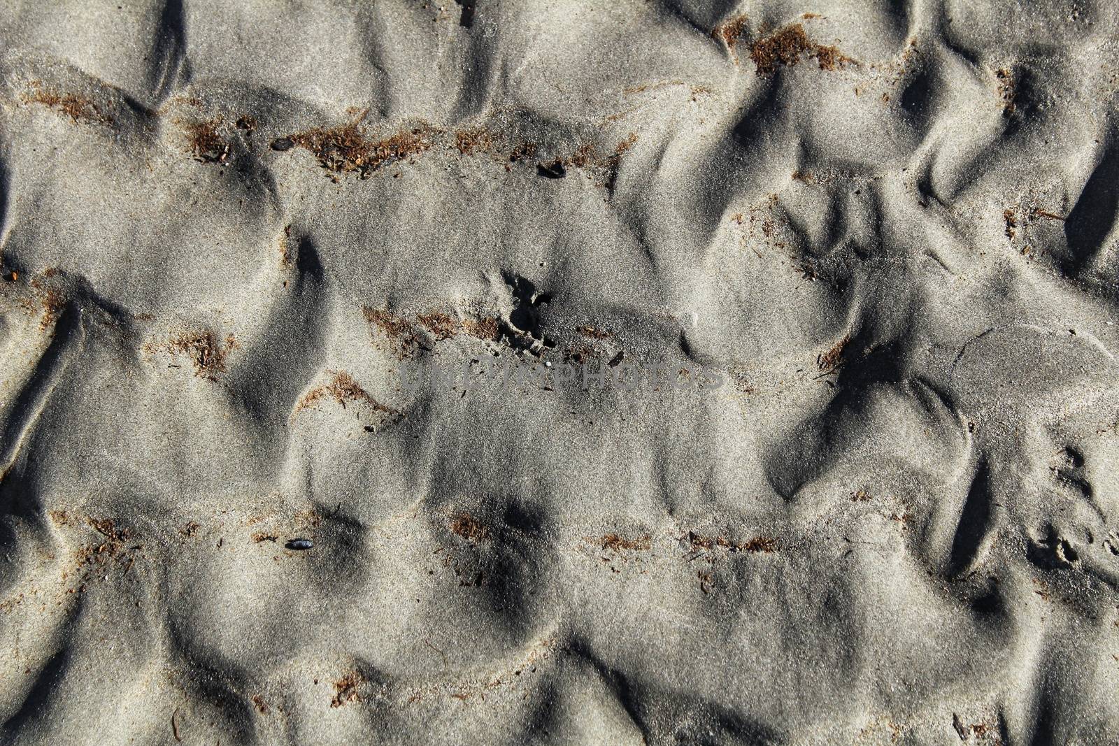 Textures on the beach sand in a sunny day