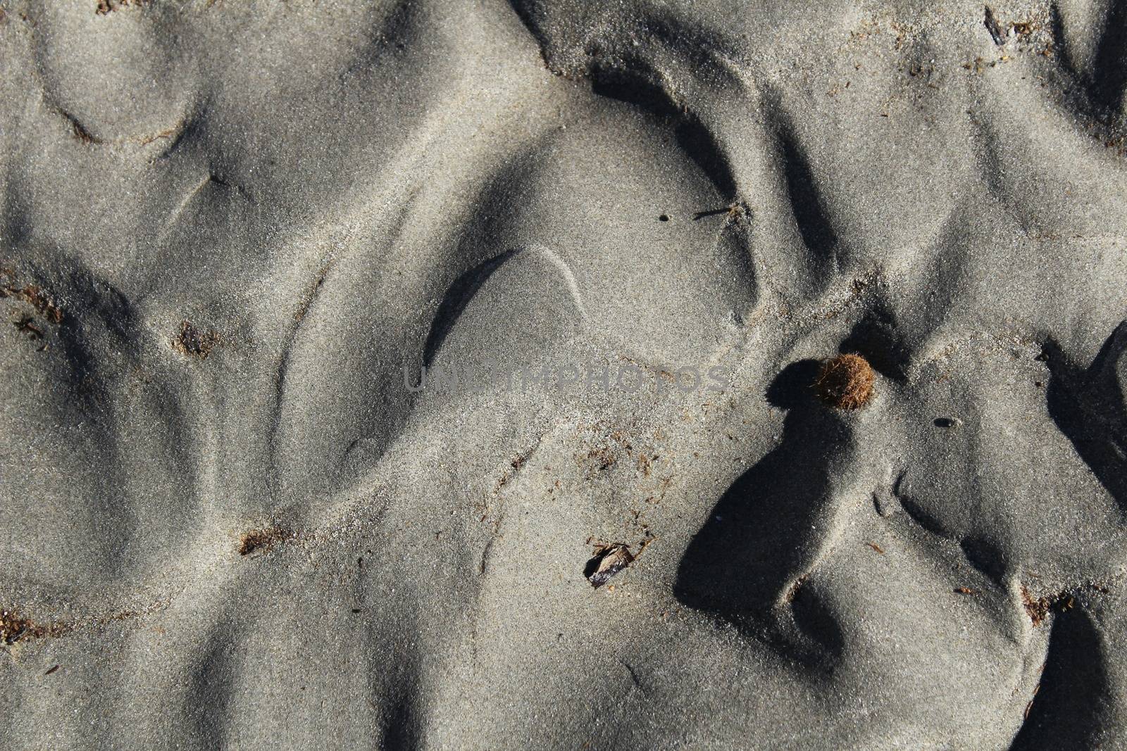 Textures on the beach sand in a sunny day