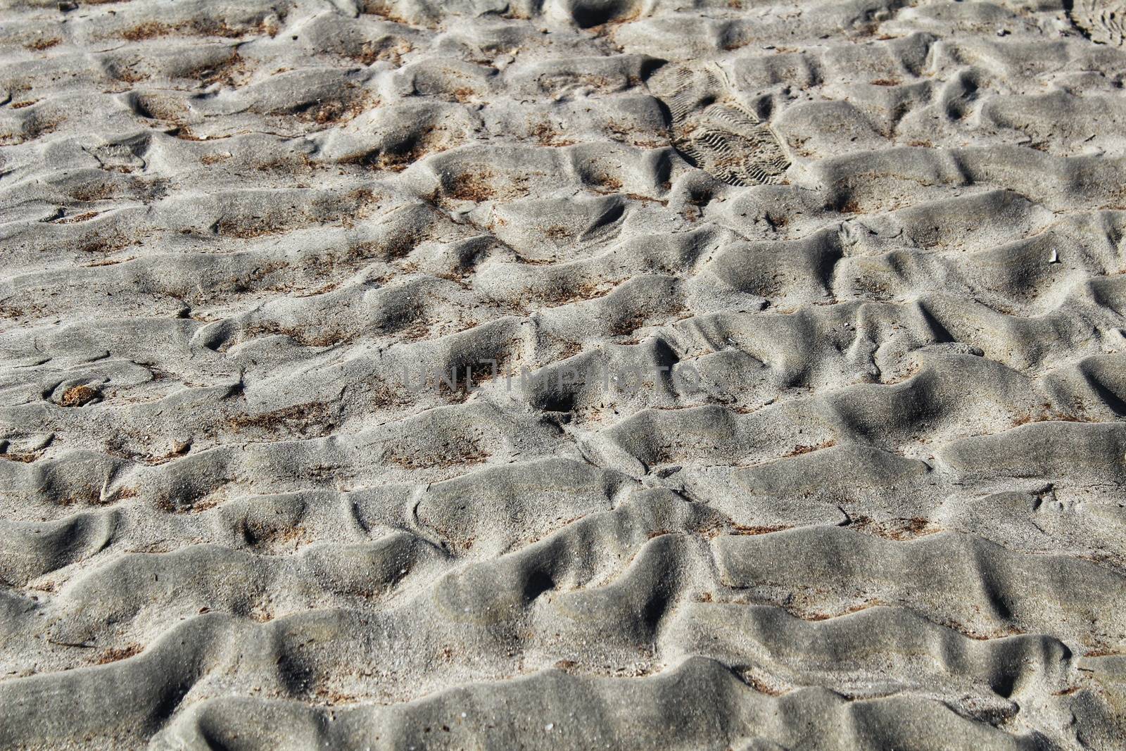 Textures on the beach sand in a sunny day