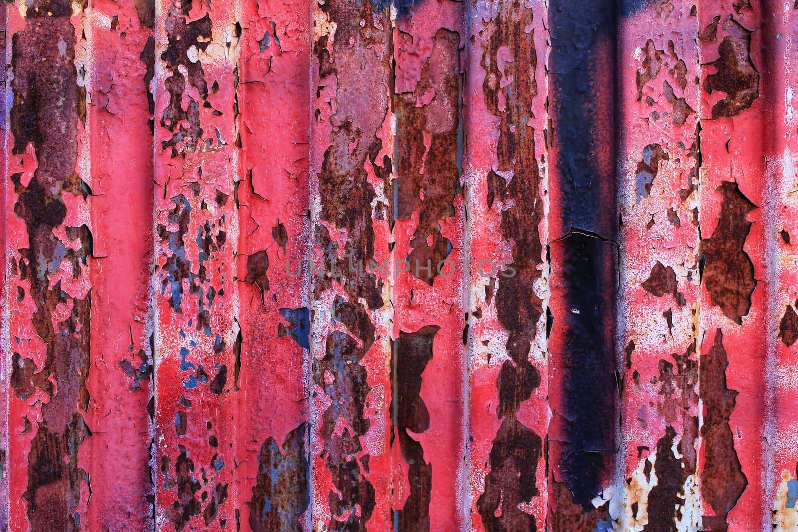 Colorful texture of old paint on rusty metal door