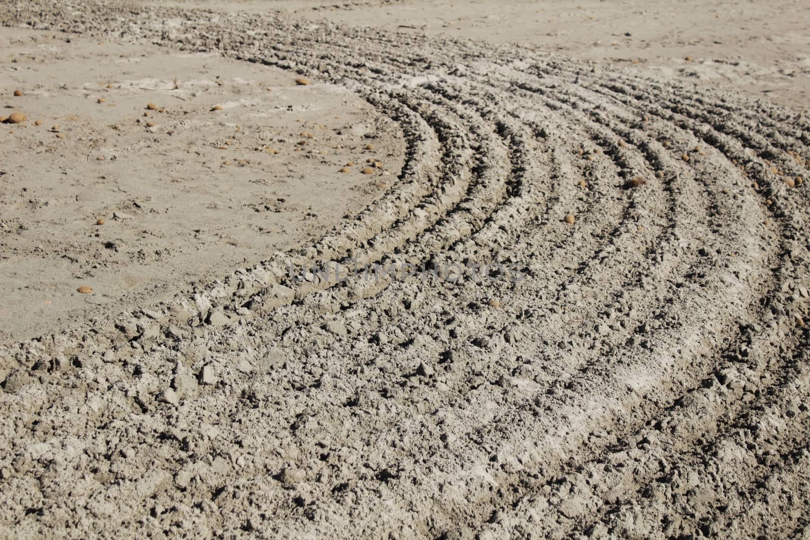 Sand racked texture on the beach in the morning