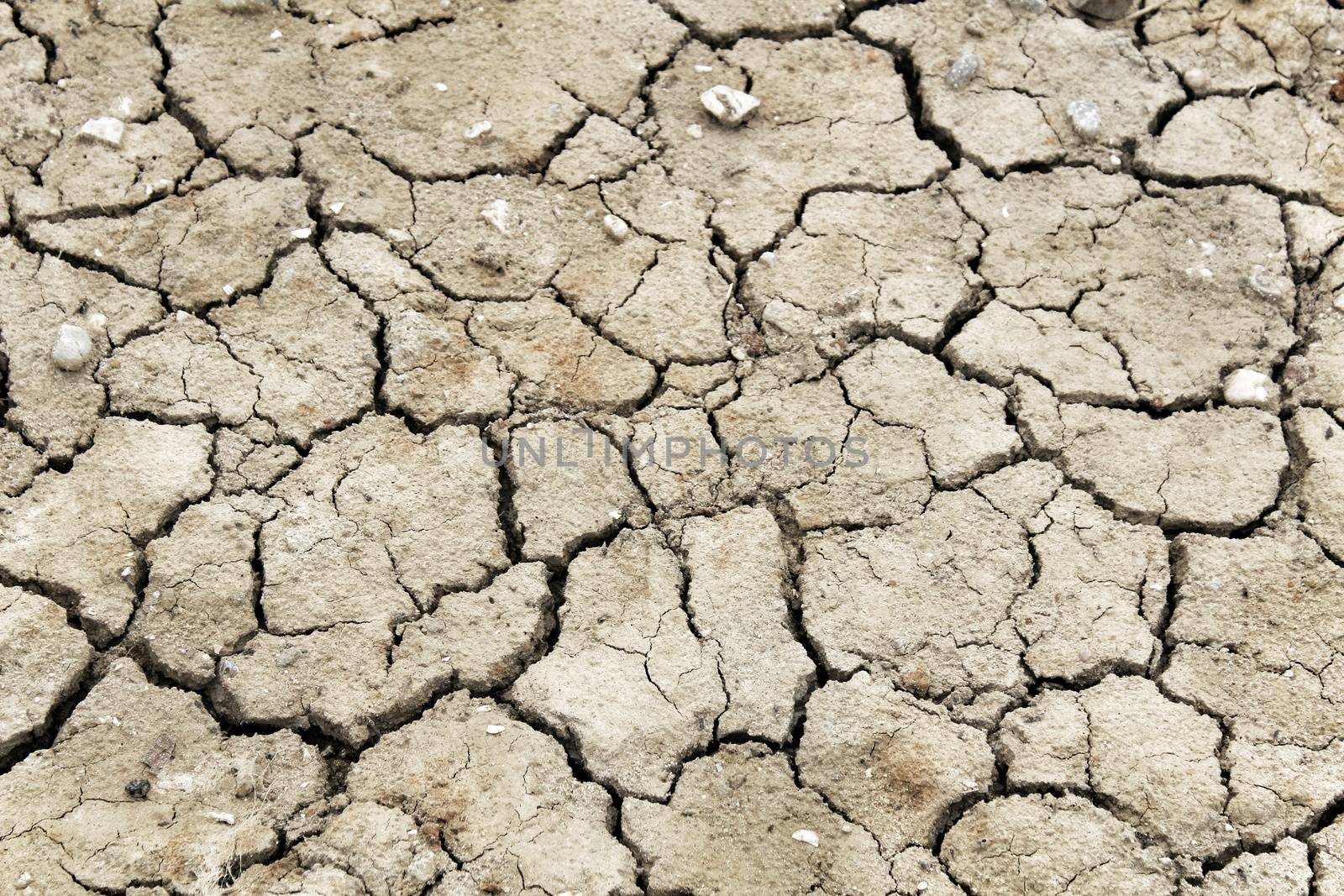 Texture of brown arid and desert land