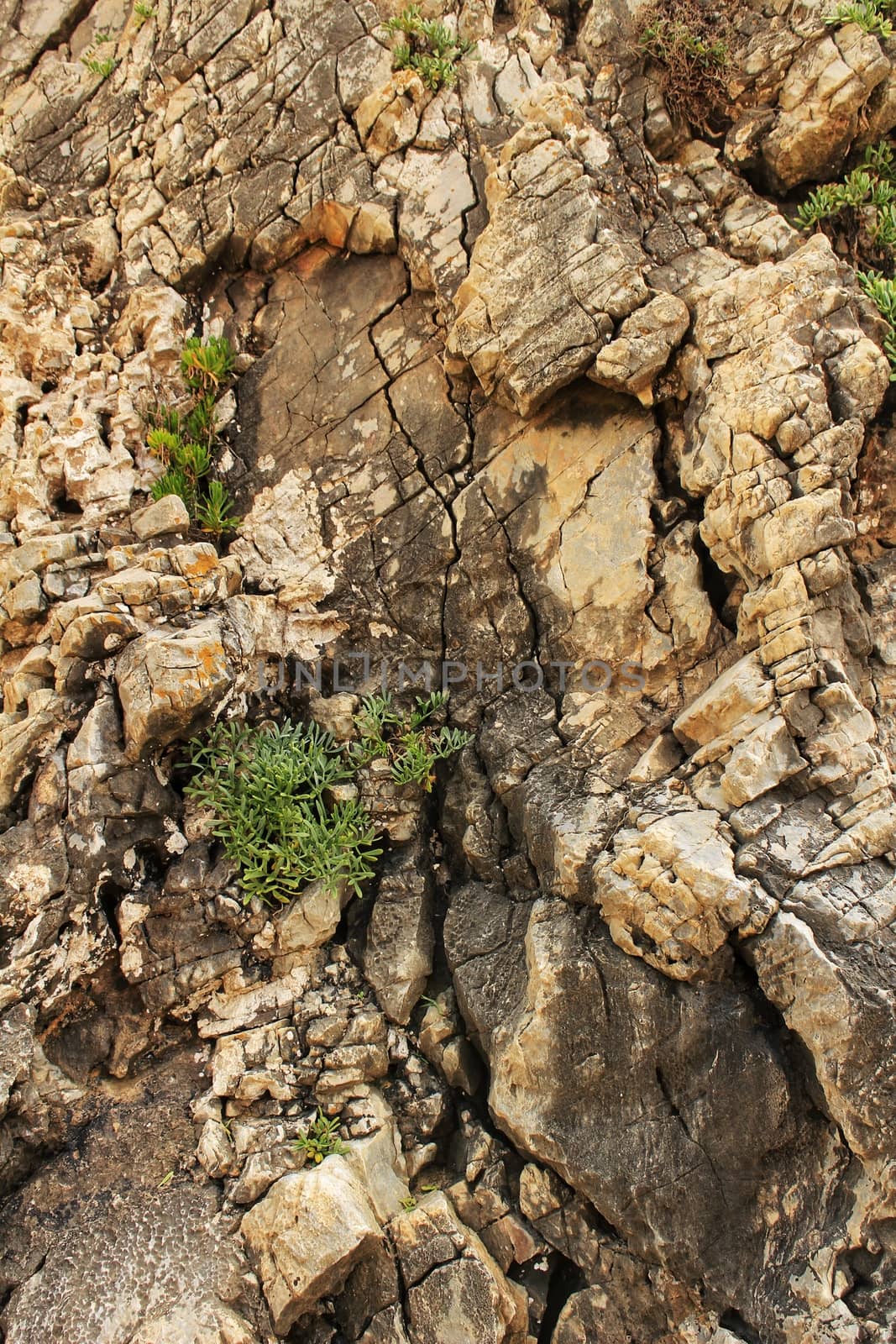 Crystalline waters and rock textures of Galapinhos Beach in Portugal