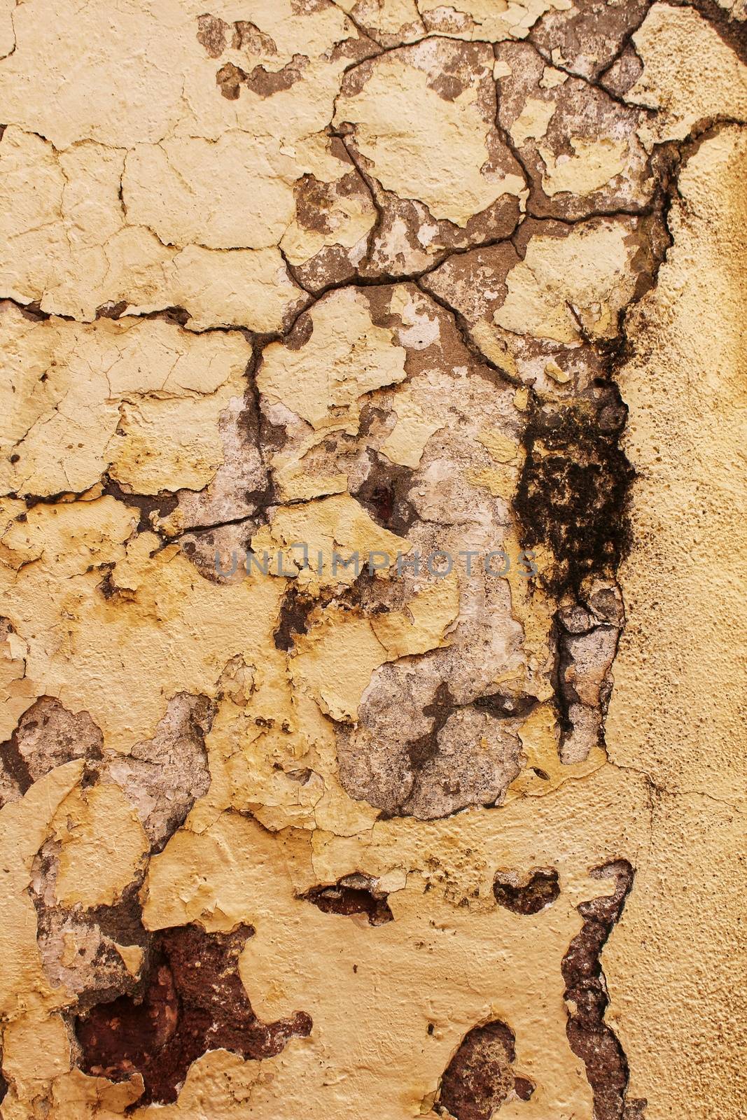 Old and damaged wall texture with old white paint