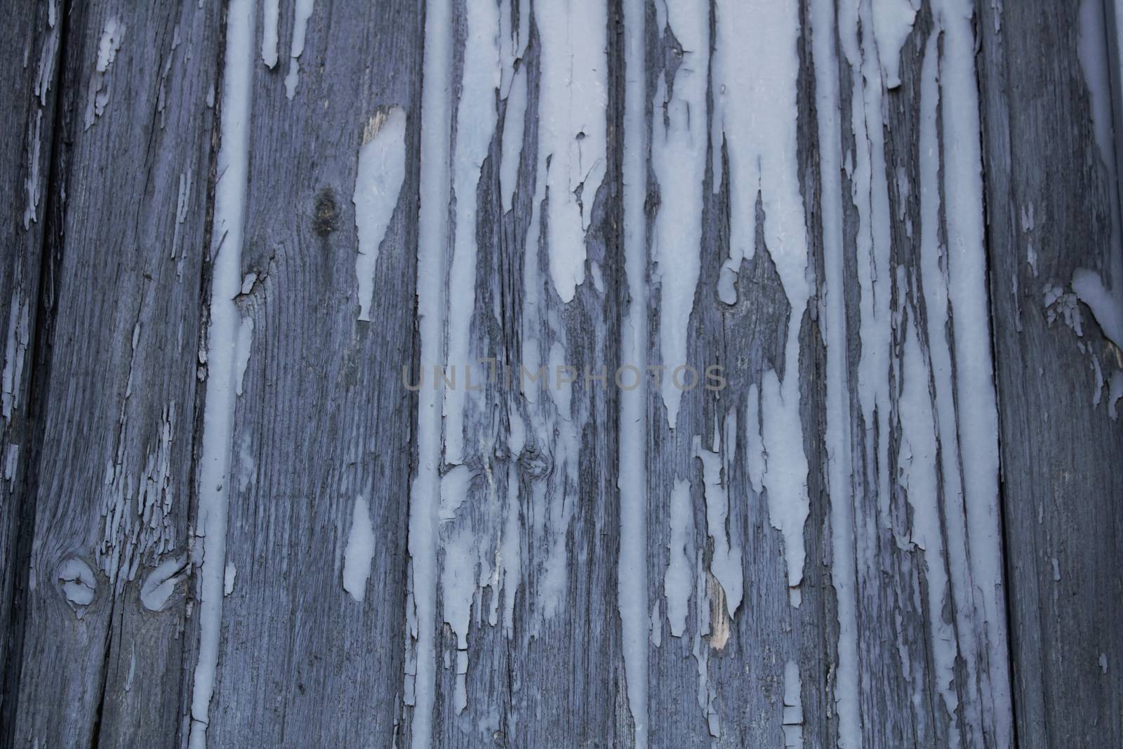 Old wooden door painted white texture