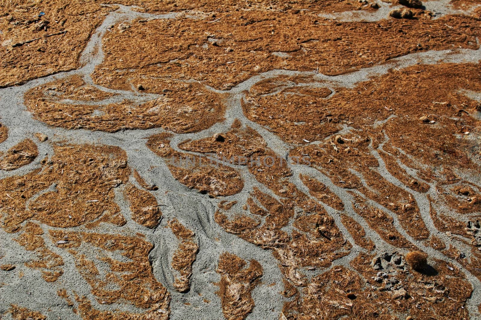 Oceanic Posidonia remains on the shore after the storm in Santa Pola, Spain
