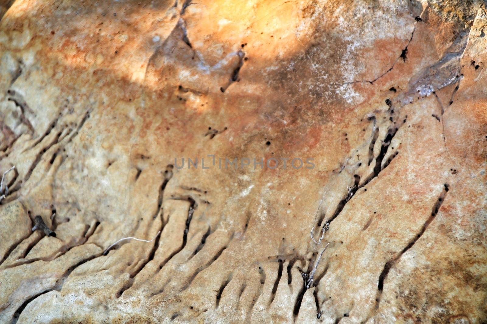 Rock texture in the mountain in Autumn