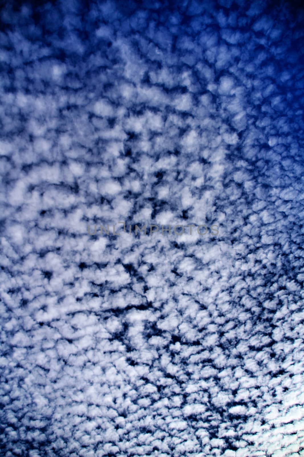 Sky with Altocumulus clouds by soniabonet