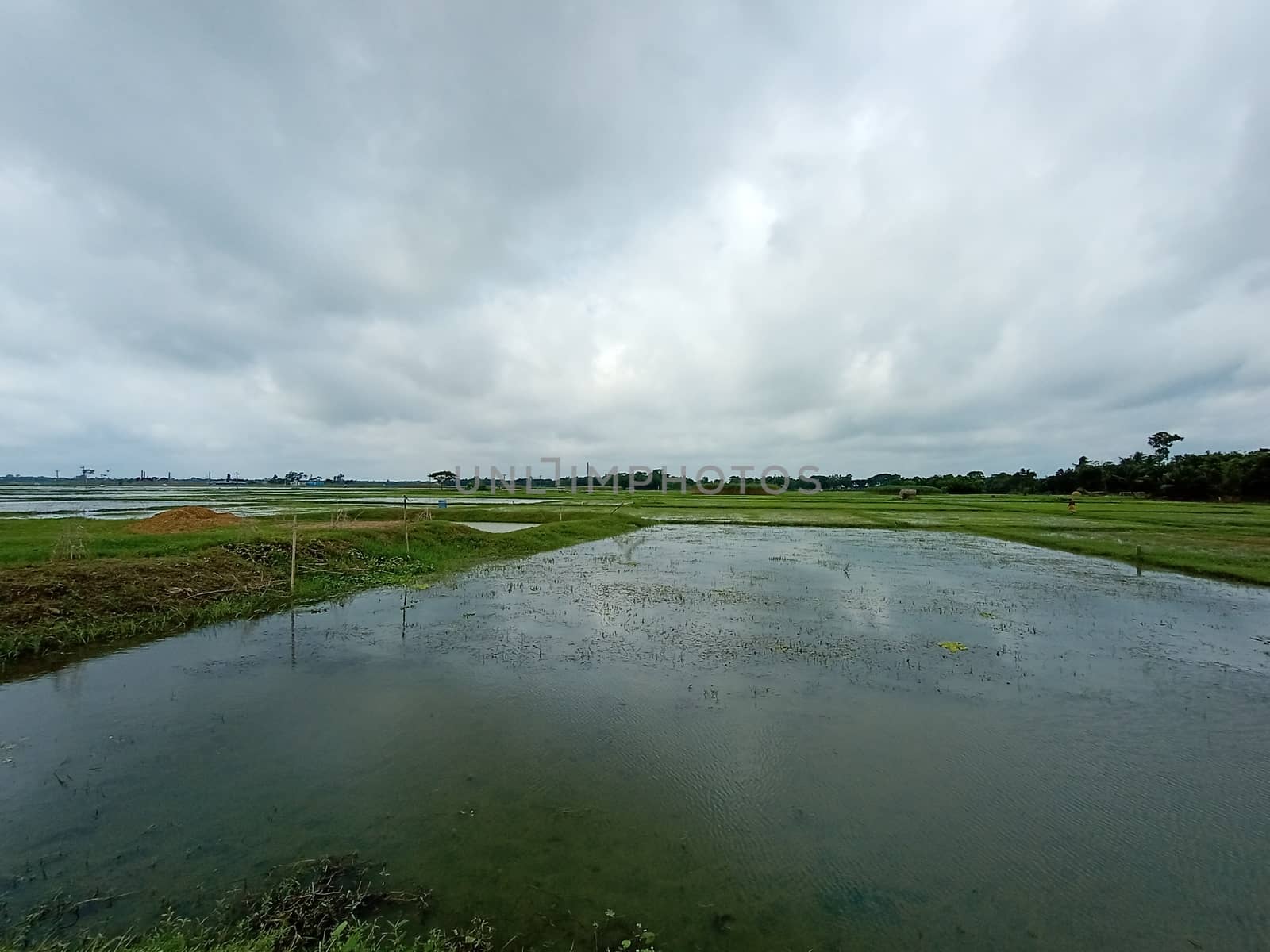 lake and sky view with nature
