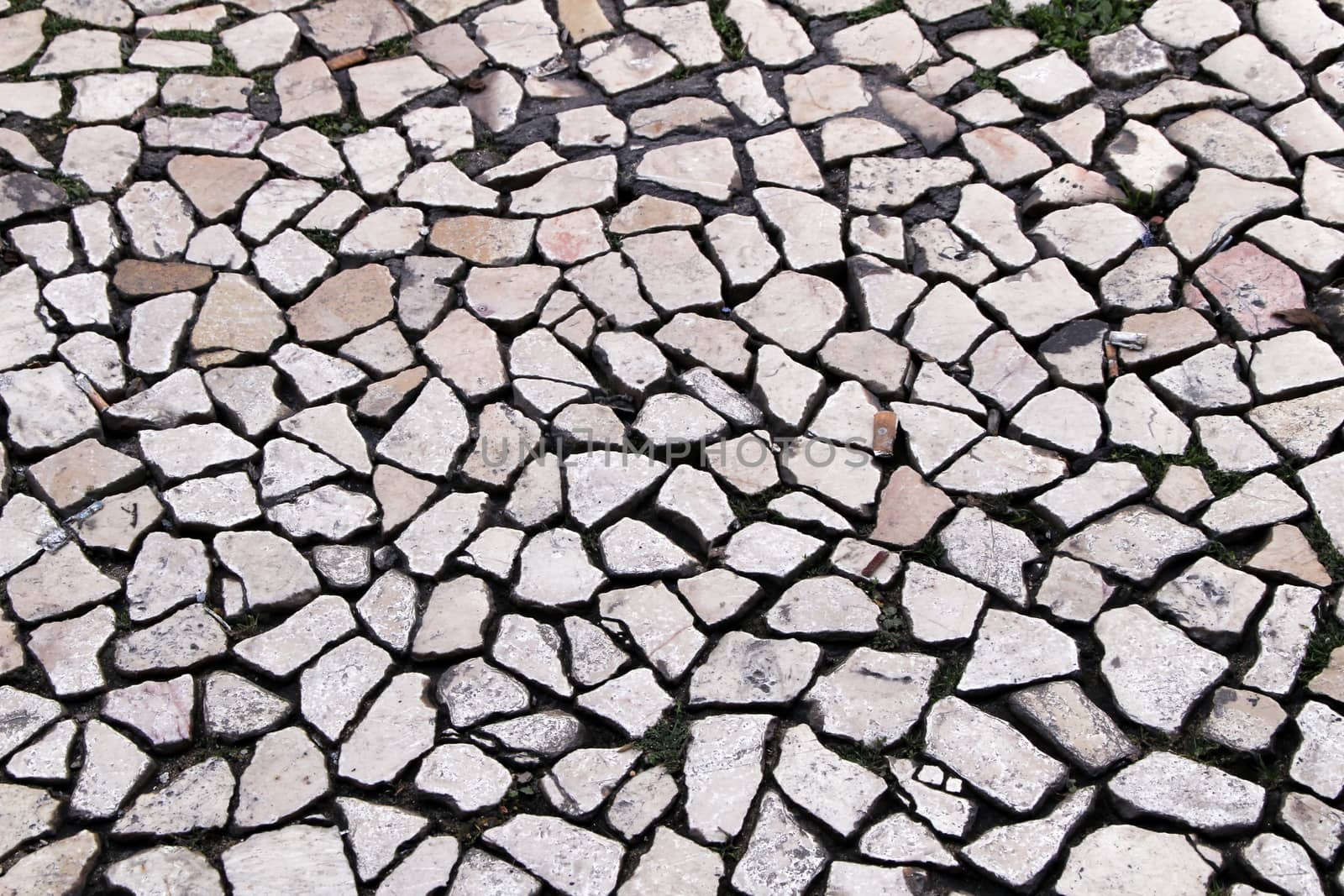 Paved floor of a street in Lisbon in spring