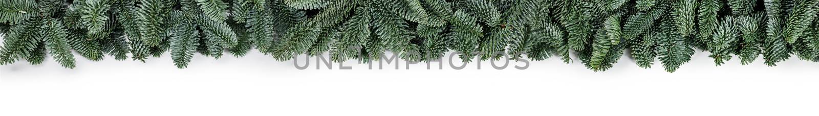 Natural noble fir Christmas tree border frame isolated on white , copy space for text