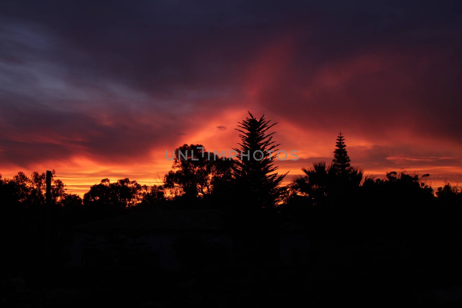 Spectacular sunset with fire color in the forest