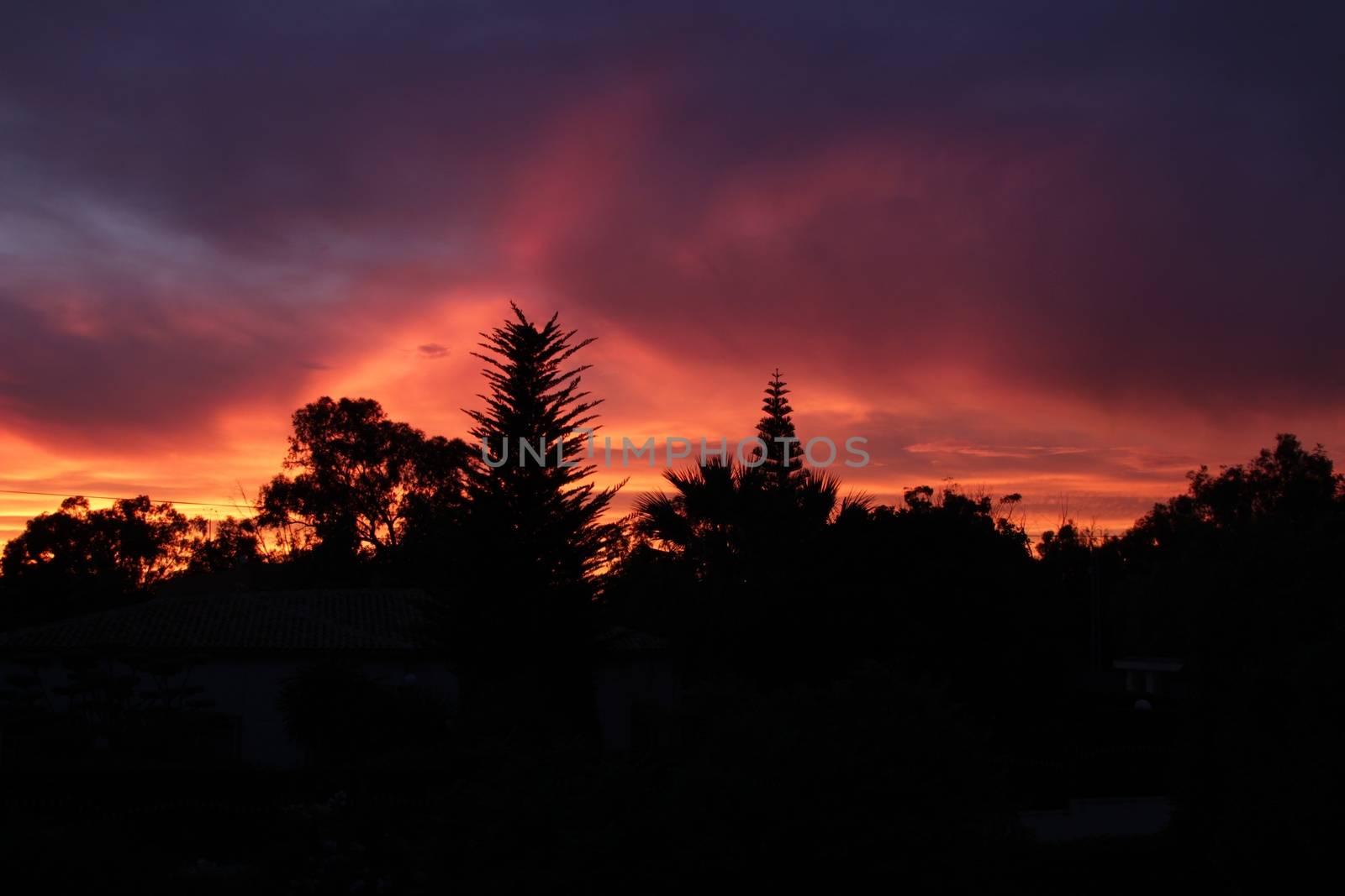 Spectacular sunset with fire color in the forest