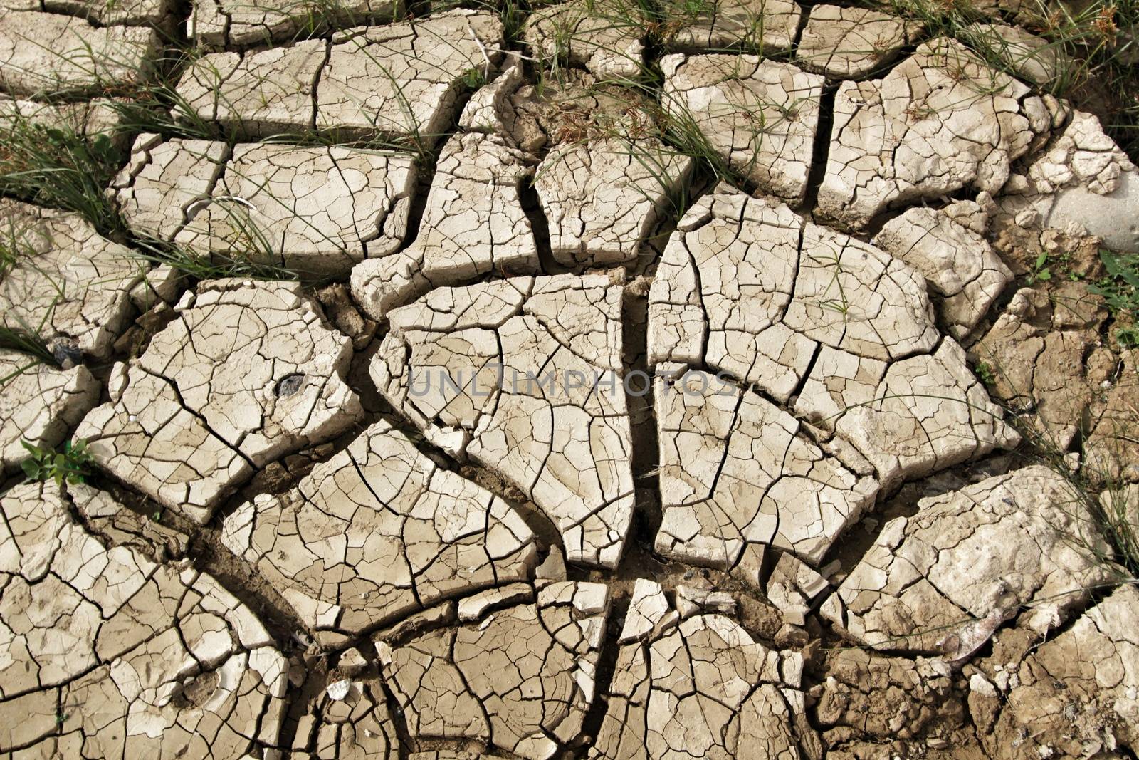 Brown arid and desert land texture showing the drought of the fields in Spain