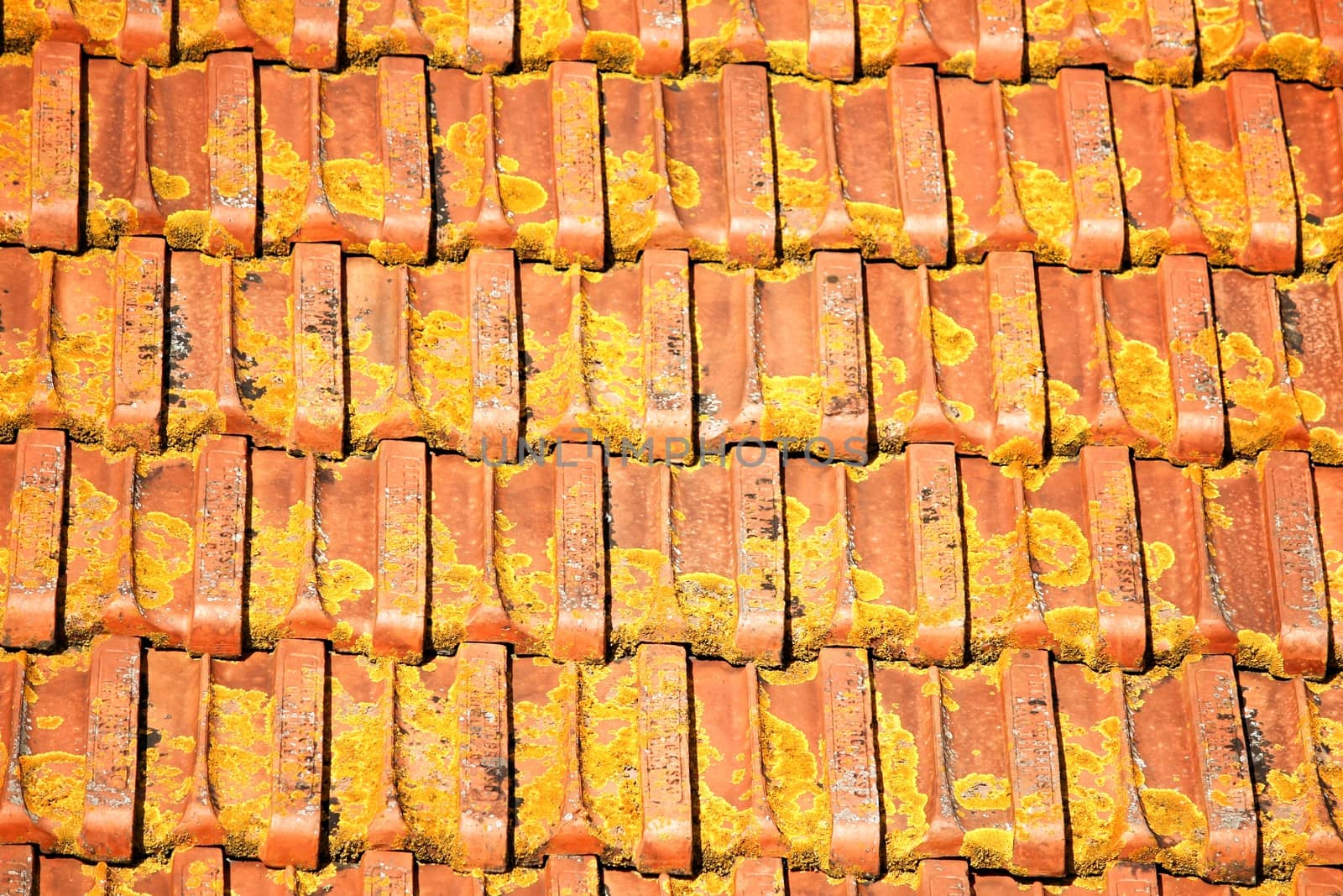 Red tiled Roof in Lisbon house with dry moss