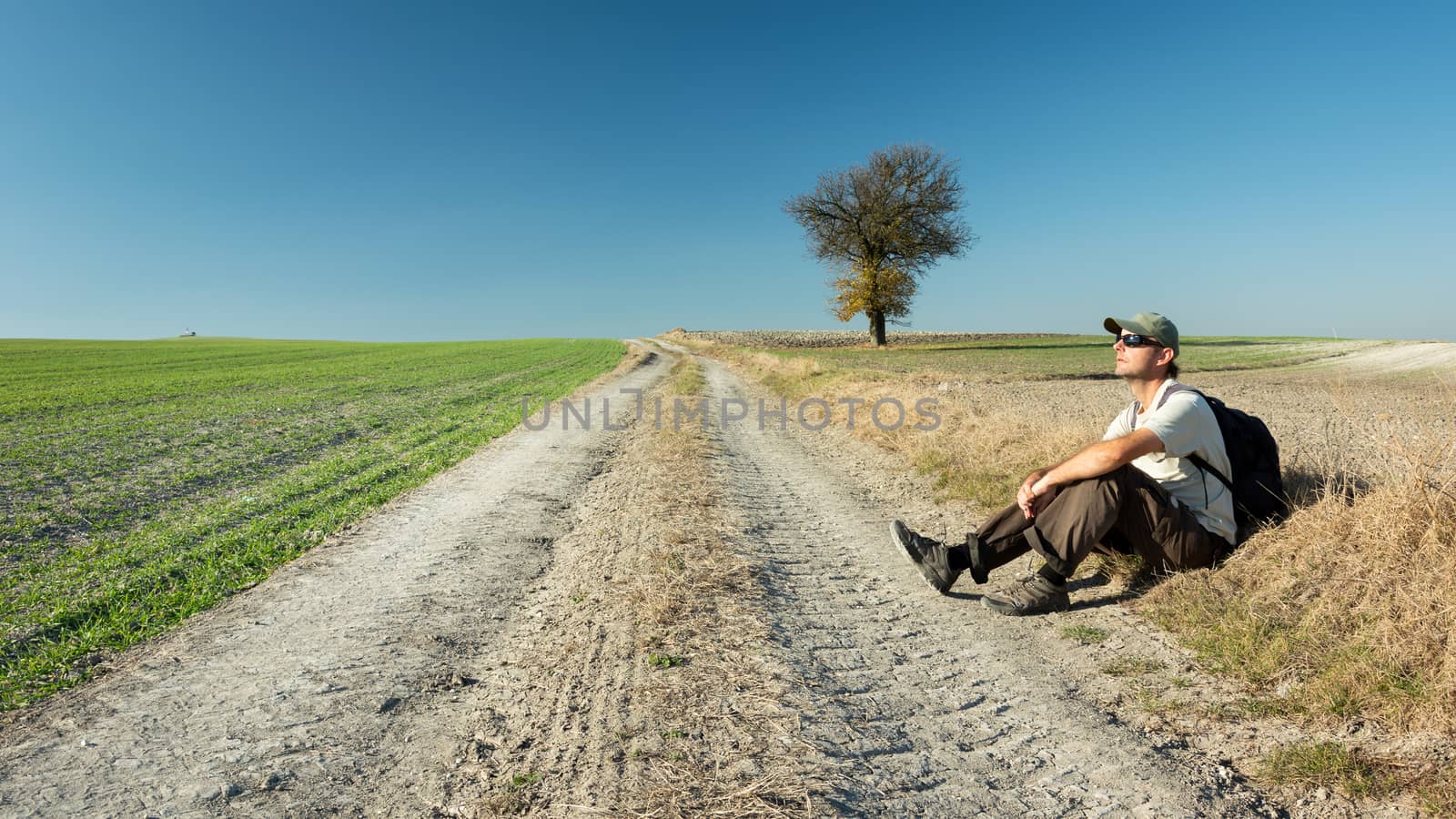 A man sitting by the road, fields and a lonely tree, sunny day