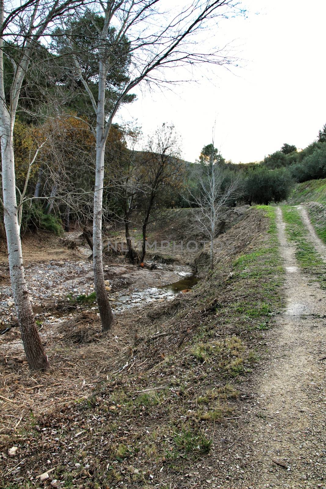 Mountain landscape and path between with green vegetation in winter in Carricola, Valencia, Spain