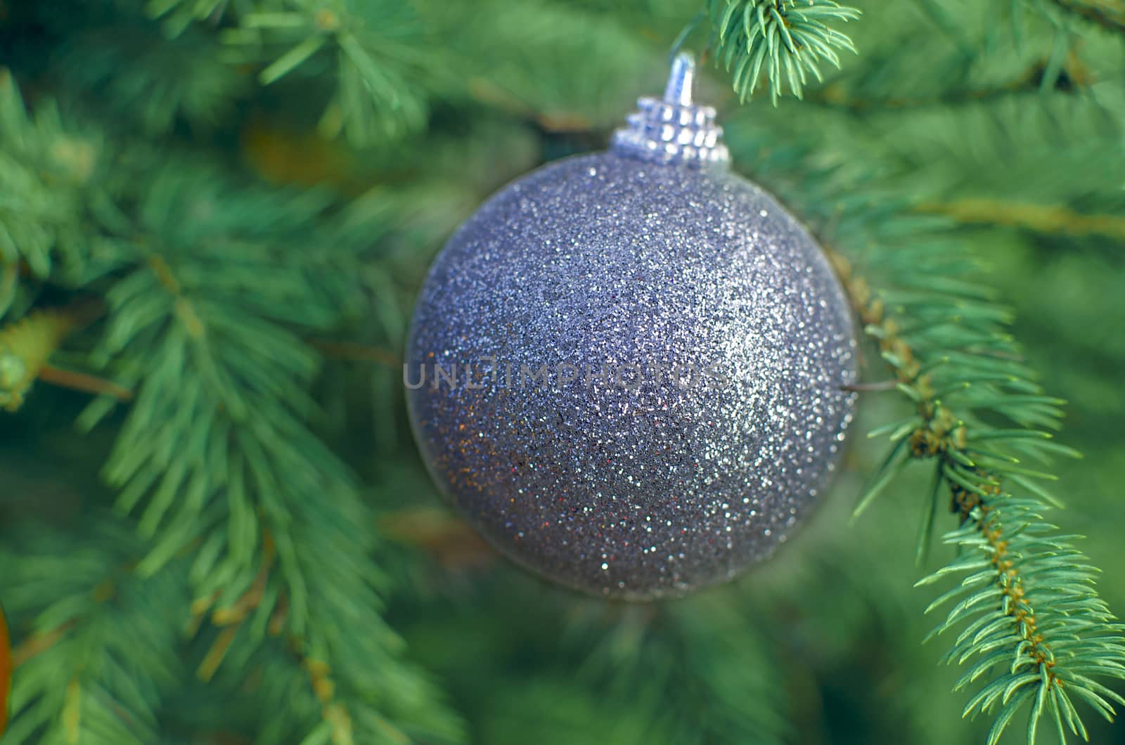 Christmas silver ball decoration ornament. Silver holiday ball hanging from a green christmas tree twig. New year greeting card.