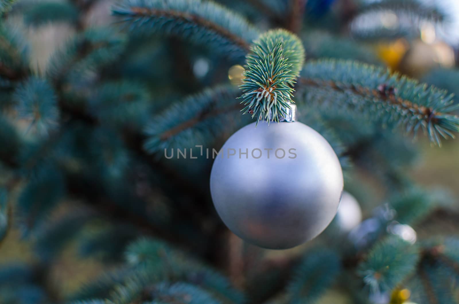 Christmas silver ball decoration. Silver holiday ball hanging from a green christmas tree twig.New year greeting card with copy space