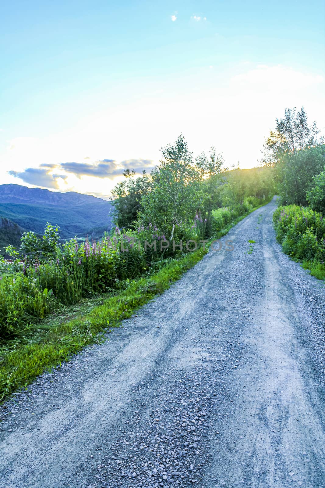 Footpath road at sunset in Hemsedal, Norway. by Arkadij