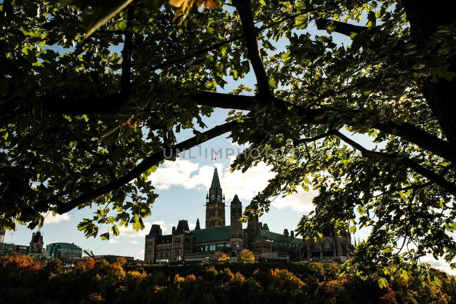 Parliament Hill in Ottawa, Ontario, Canada is seen through trees from a nearby park in the fall. The Peace Tower and Centre Block are framed by the leaves and autumn colors.
