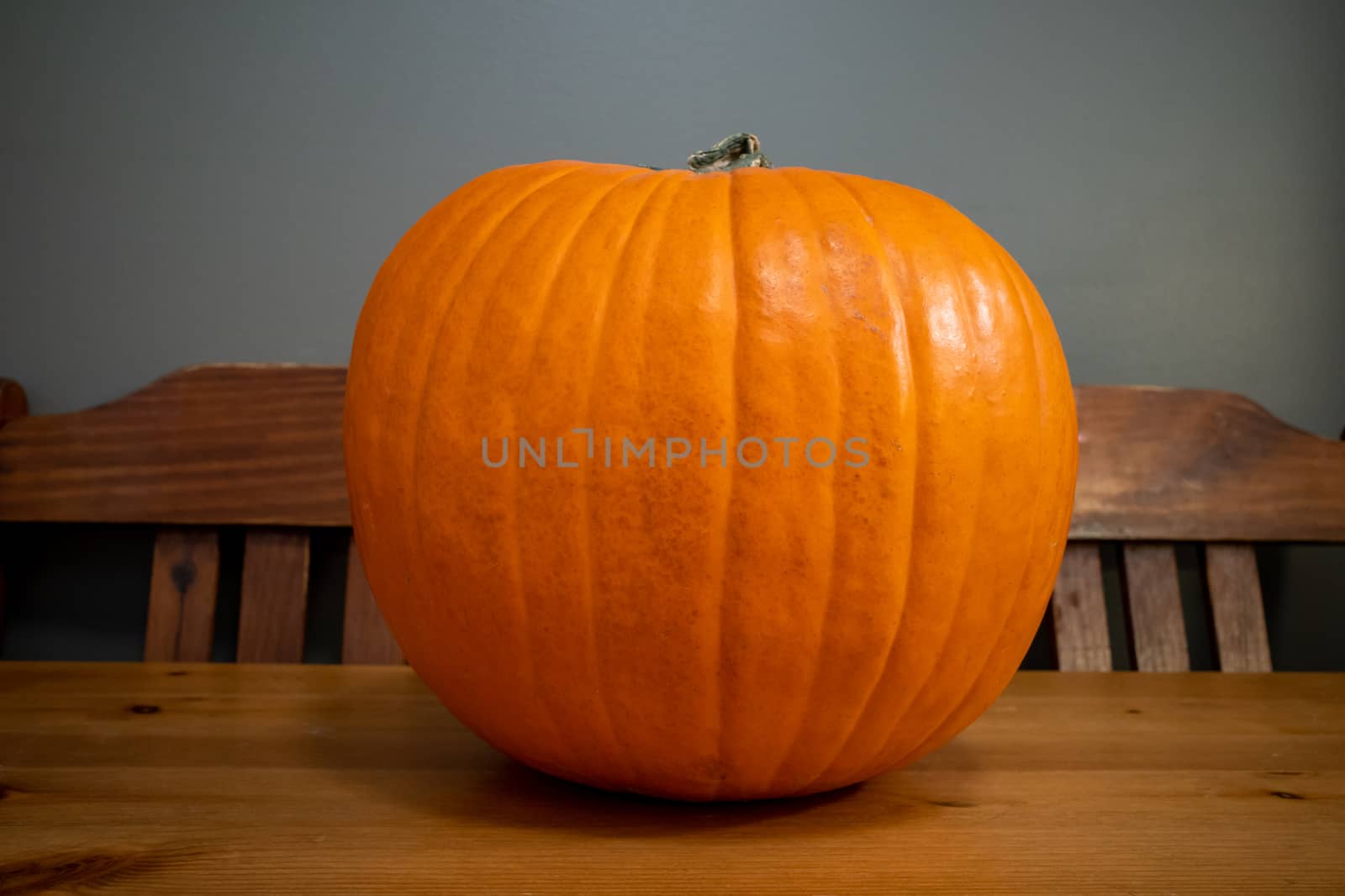 A Pumpkin on a Wooden Table by colintemple