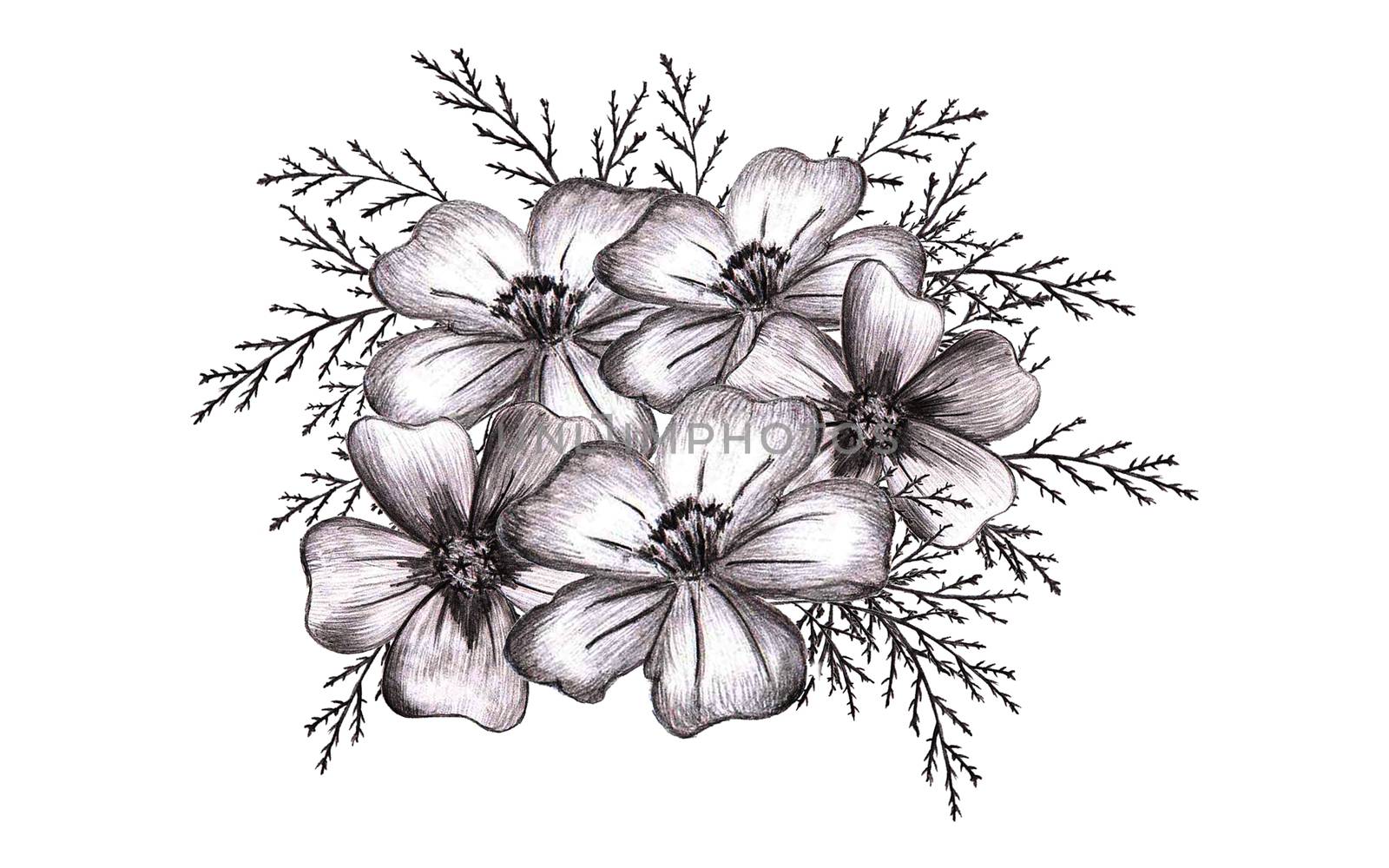 Black and White Hand-Drawn Flower. Thin-leaved Marigolds Sketch Composition. by Rina_Dozornaya