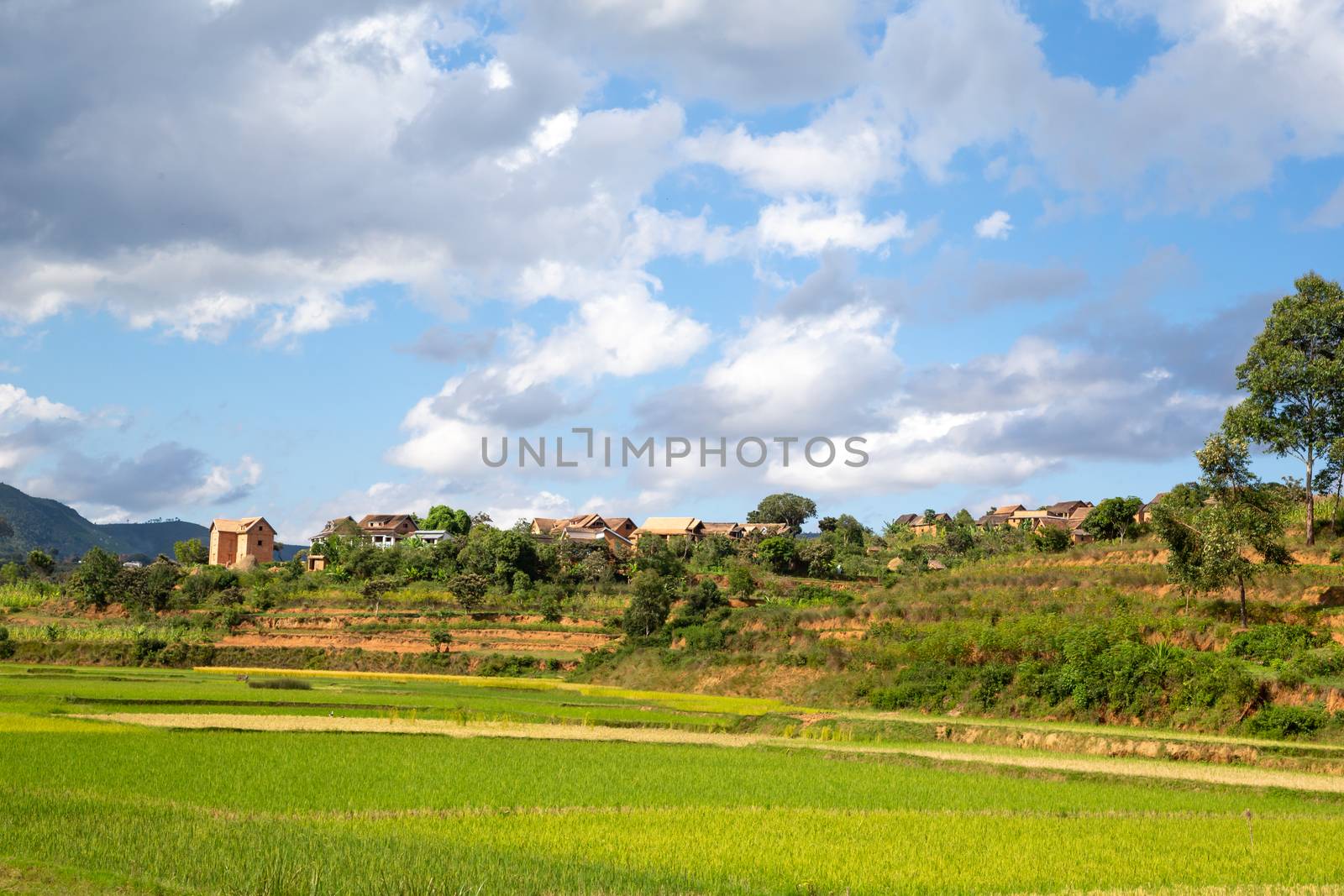 Homes of locals on the island of Madagascar