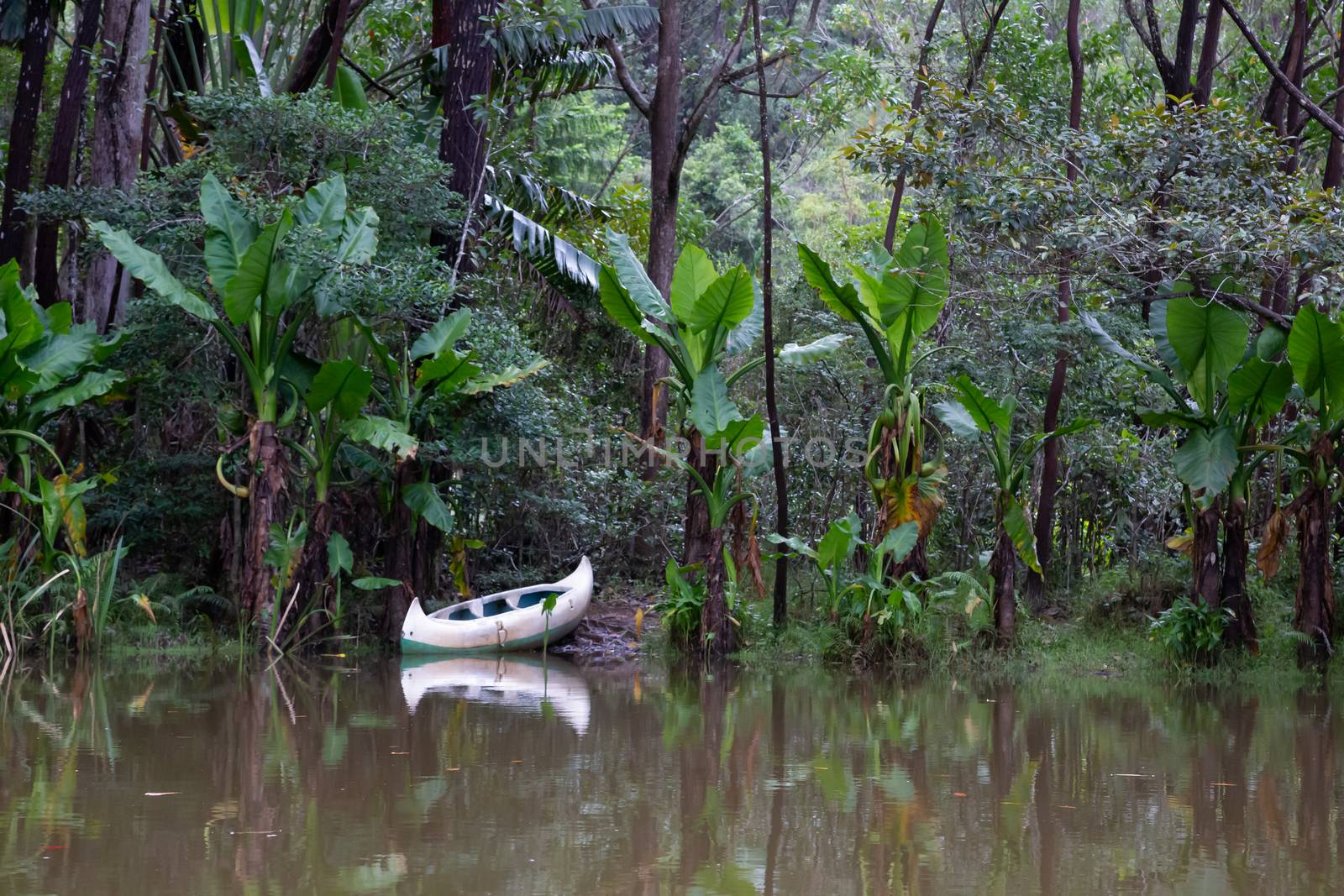 One small boat on the shore of a lake in front of a picturesque rainforest