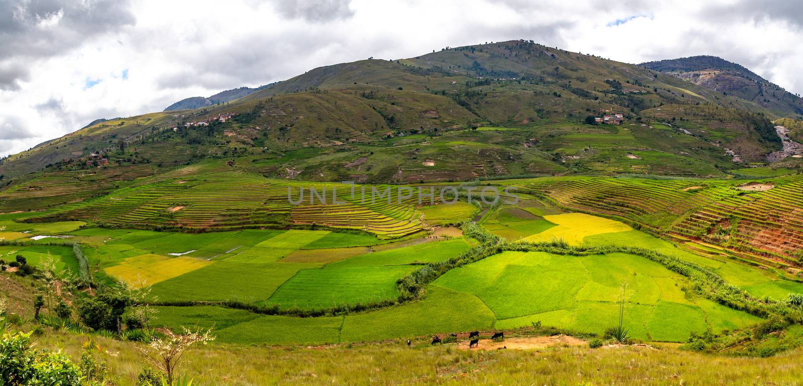 A Landscape shots of the island of Madagascar