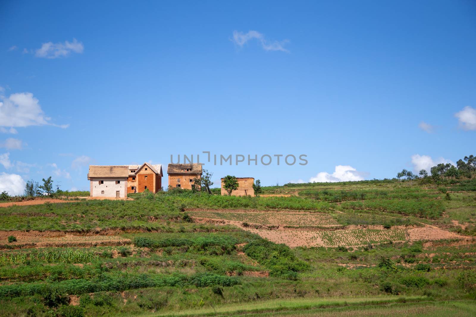 Homes of locals on the island of Madagascar