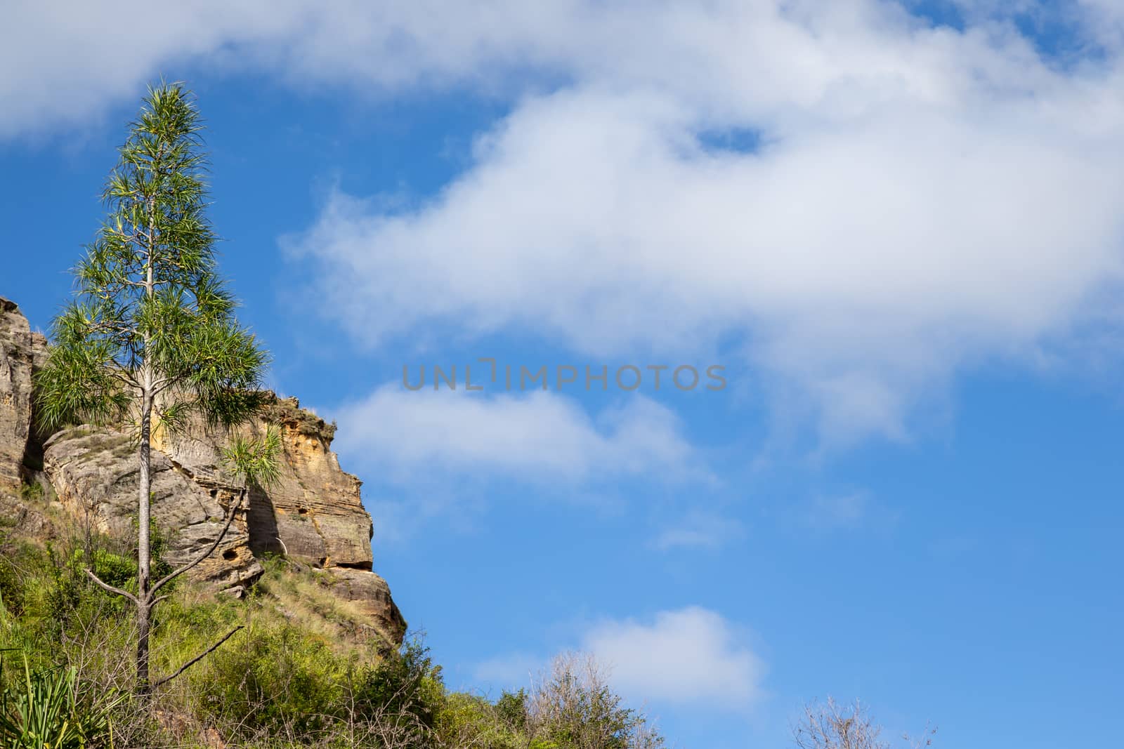 The Mountains covered with plants and a blue sky with small clouds