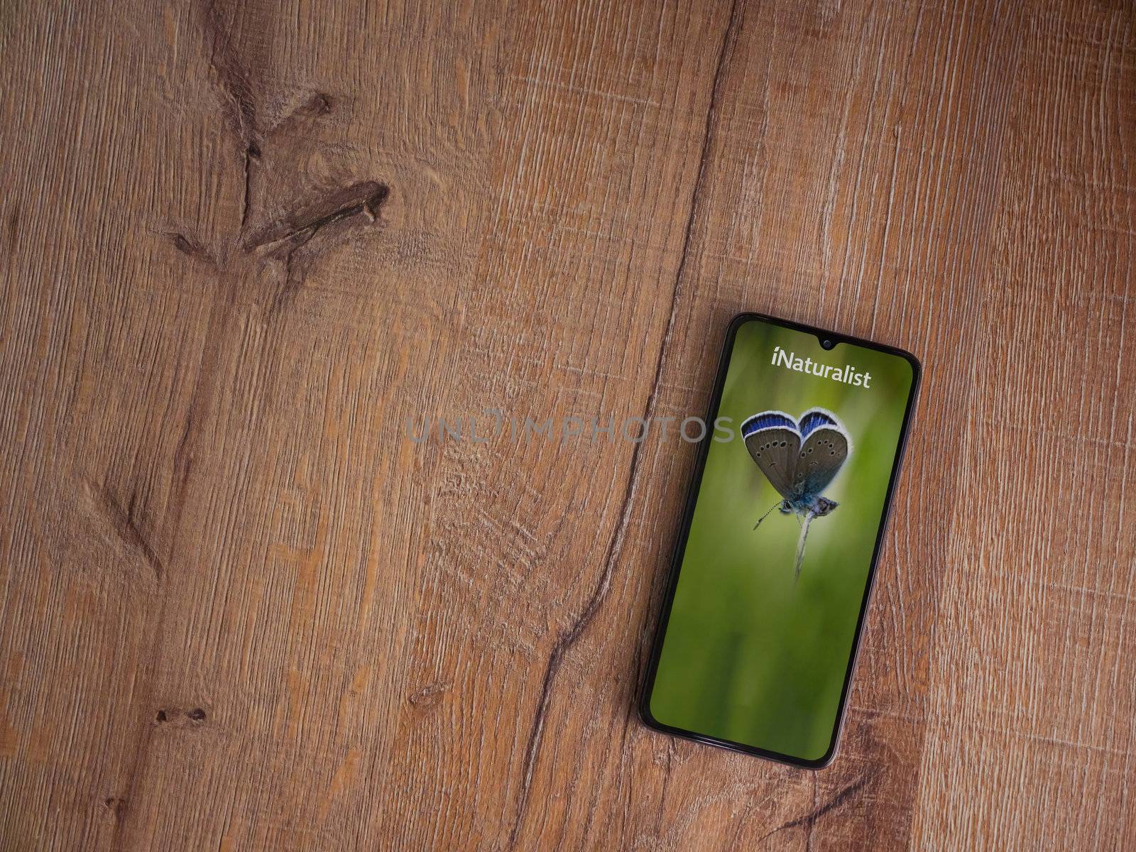 Lod, Israel - July 8, 2020: iNaturalist app launch screen with logo on the display of a black mobile smartphone on wooden background. Top view flat lay with copy space.