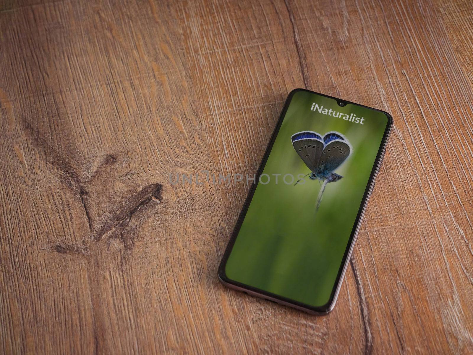 iNaturalist app launch screen with logo on the display of a blac by wavemovies