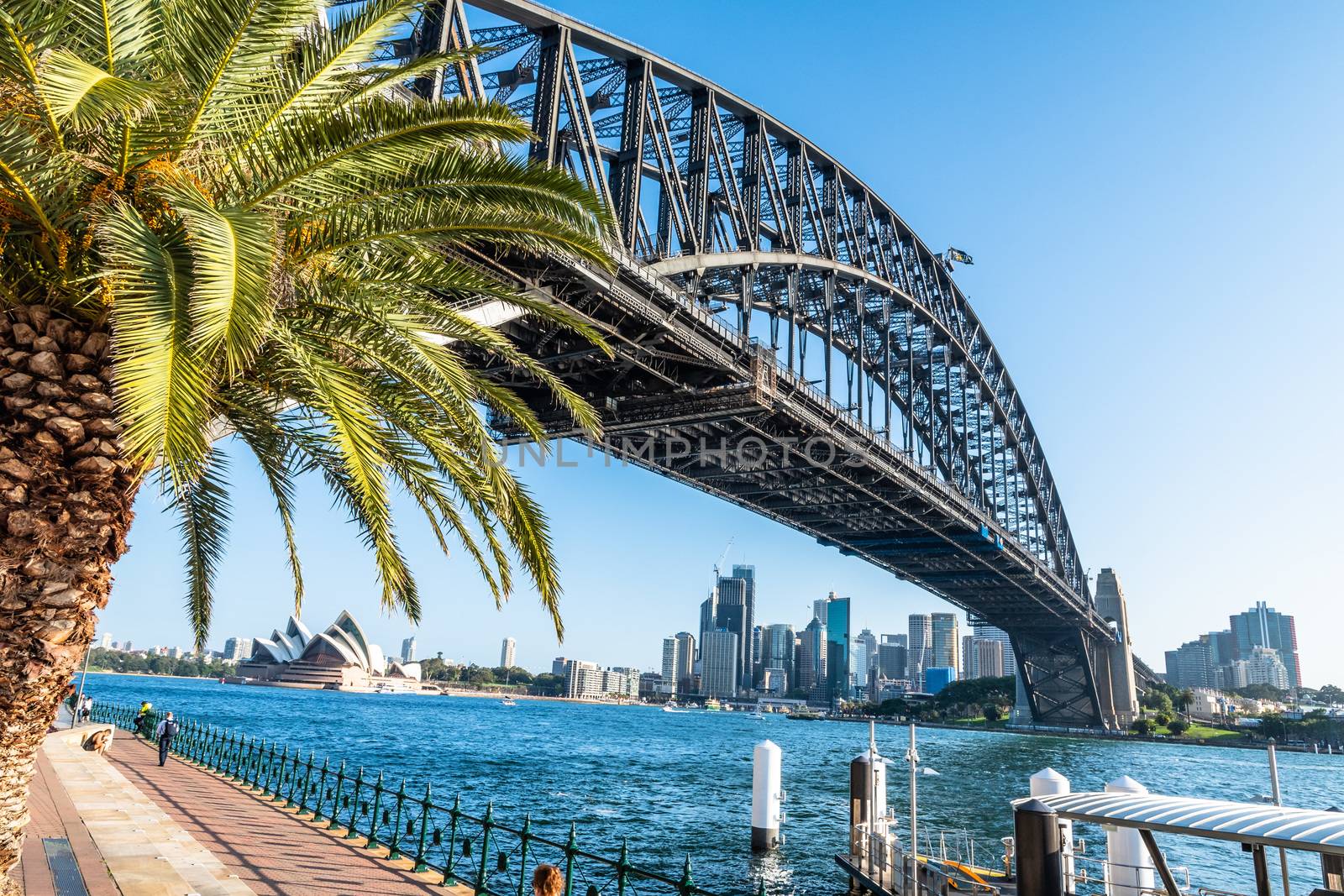 Harbour bridge and the Opera House in a sunny afternoon with a blue sky background