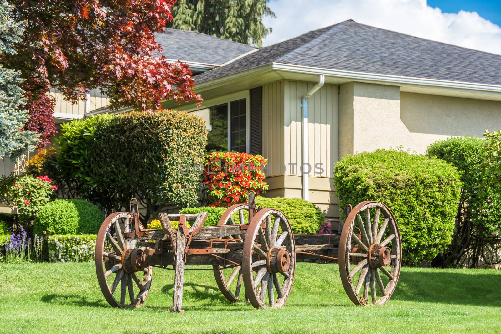 Front yard in residential community creatively landscaped with old horse vehicle by Imagenet