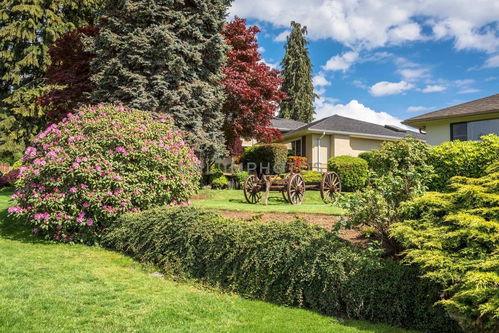 Creatively landscaped yard in residential community with old horse vehicle on green lawn