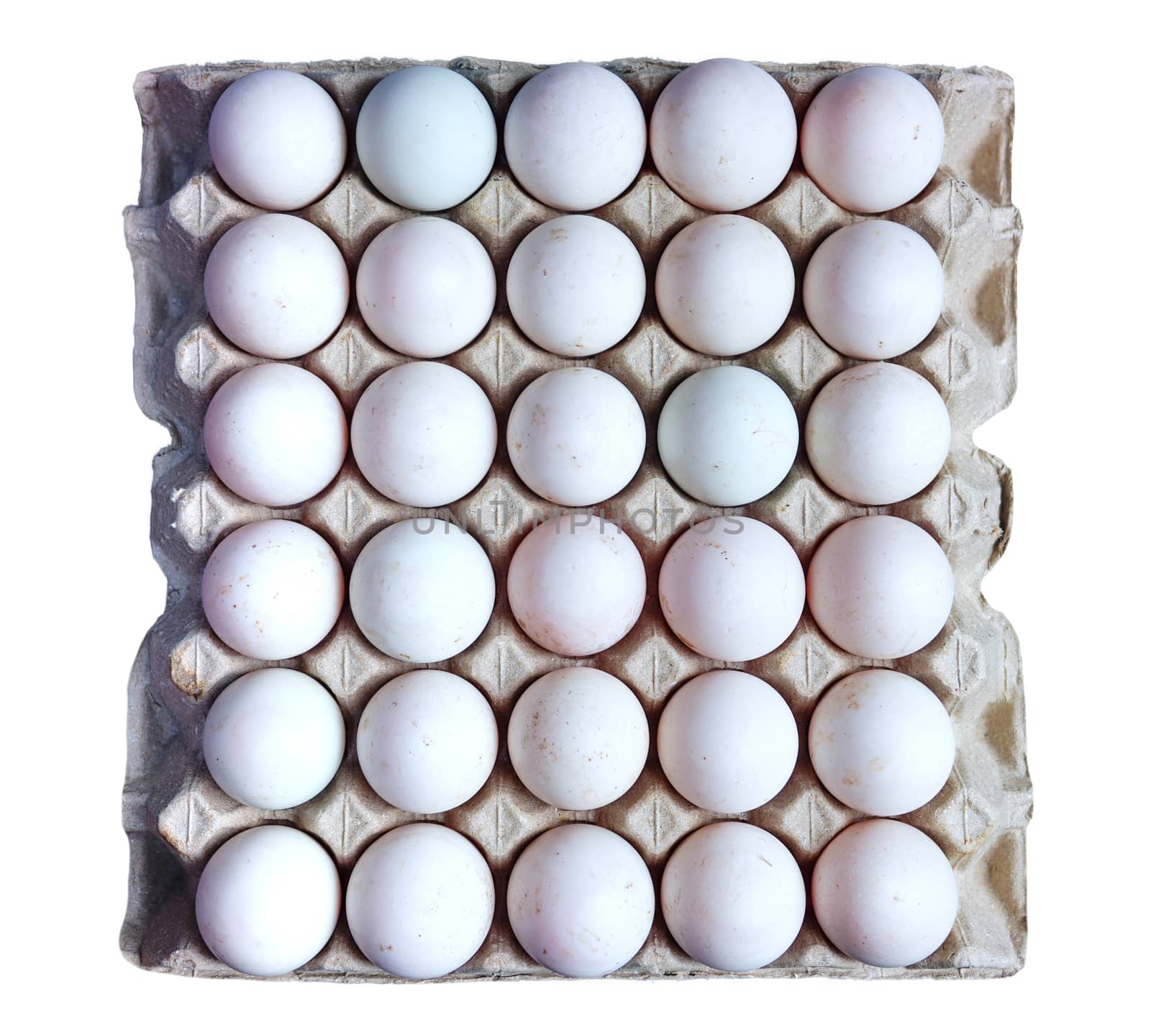 Fresh duck eggs collected from the farm are placed in a containe by noppha80