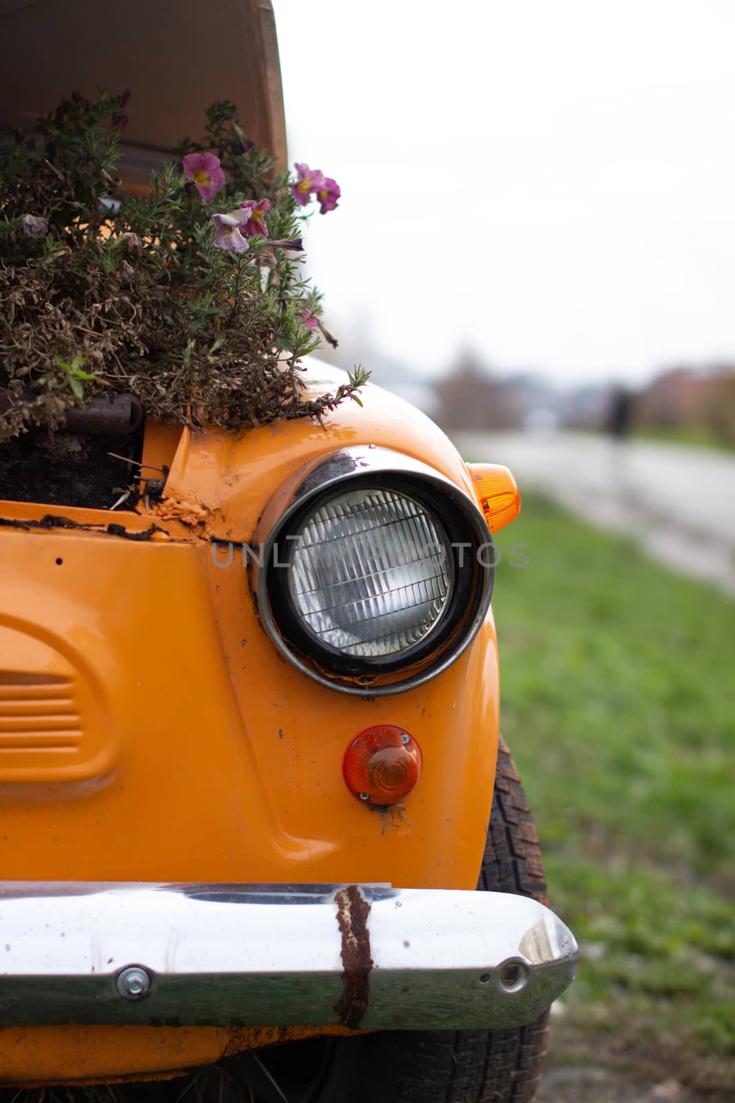 An old yellow car with round headlights and an open hood like a flower bed stands outside a flower shop in the city. Round headlight close-up