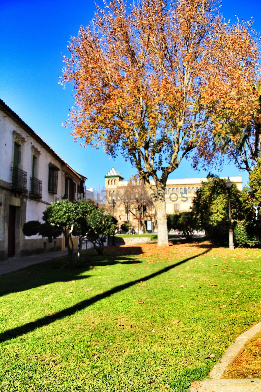 Beautiful garden in Cordoba, Spain