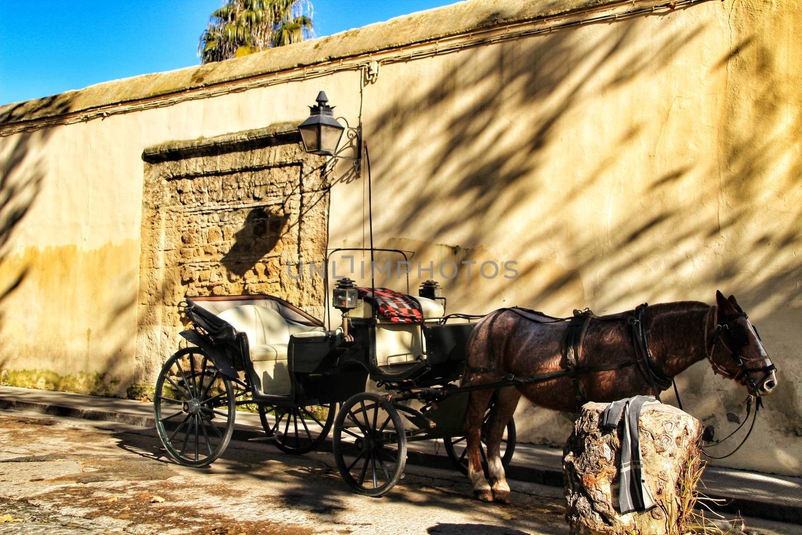 Old carriage in a street in Cordoba, Spain