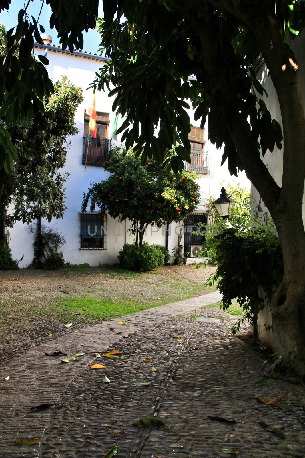Beautiful Garden in a house in Cordoba by soniabonet