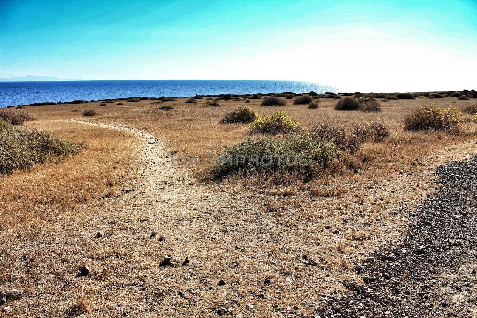 Trails and vegetation of Tabarca island under blue sky in summer