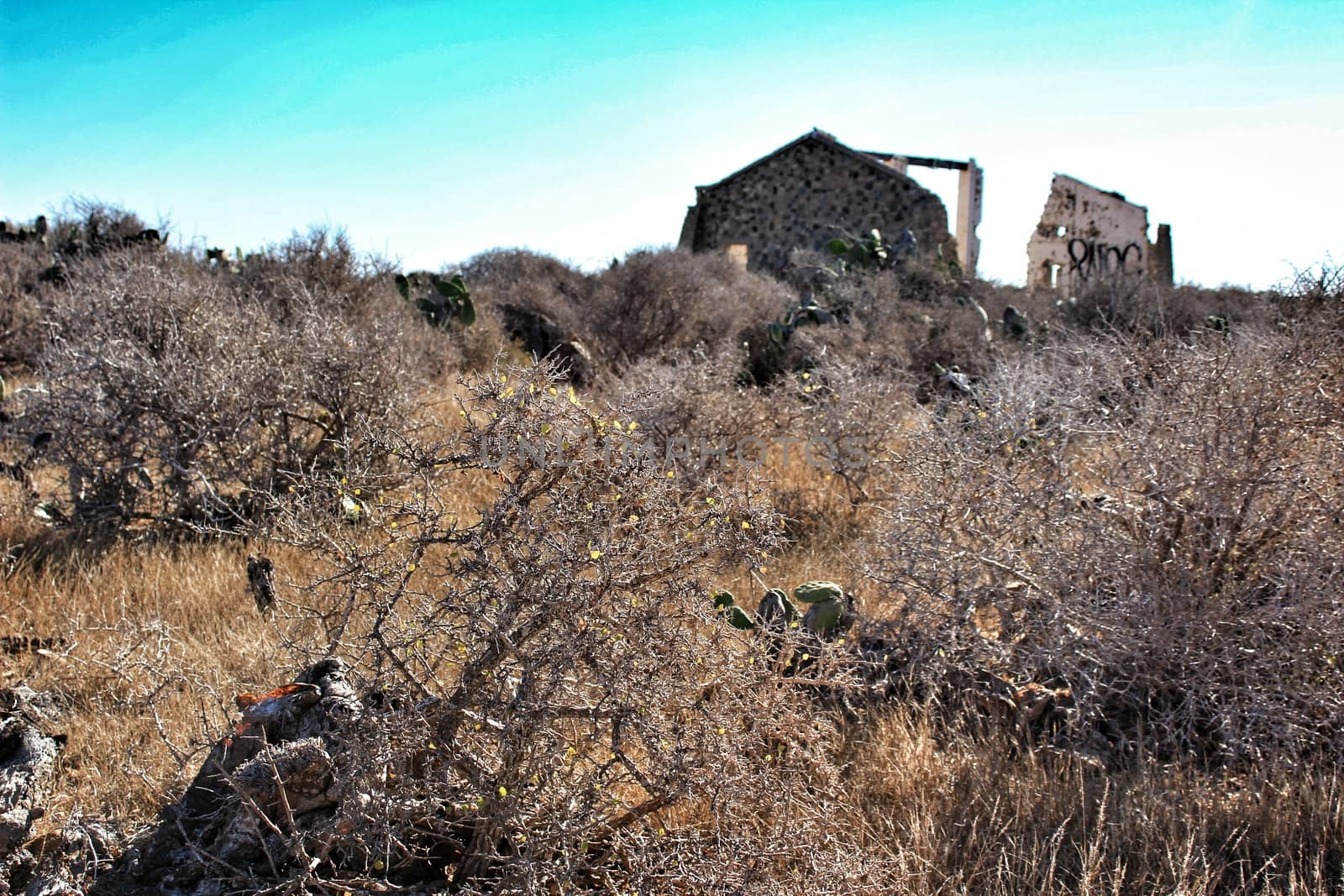 Fortress Castle between dry vegetation on Tabarca island, Alicante, Spain. Sunny day and blue sky.