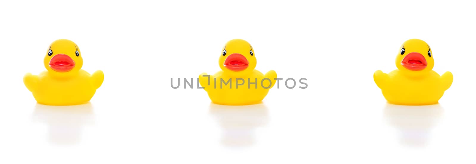 yellow rubber duck bath toy set on white background, concept of social distancing flu prevention