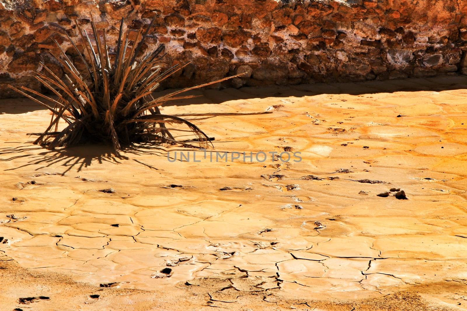 Colorful orange sediments deposited in a dry lake of an old abandoned mine in Mazarron, Spain