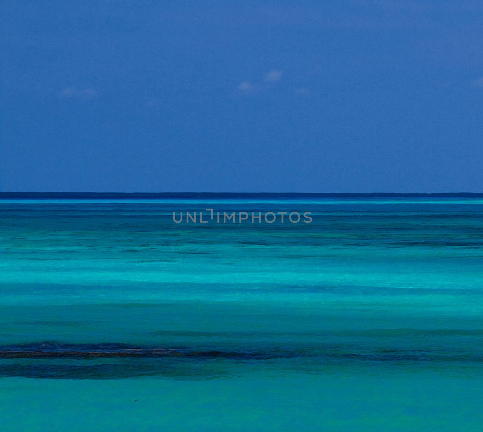 Beautiful pictures of  Bahamas