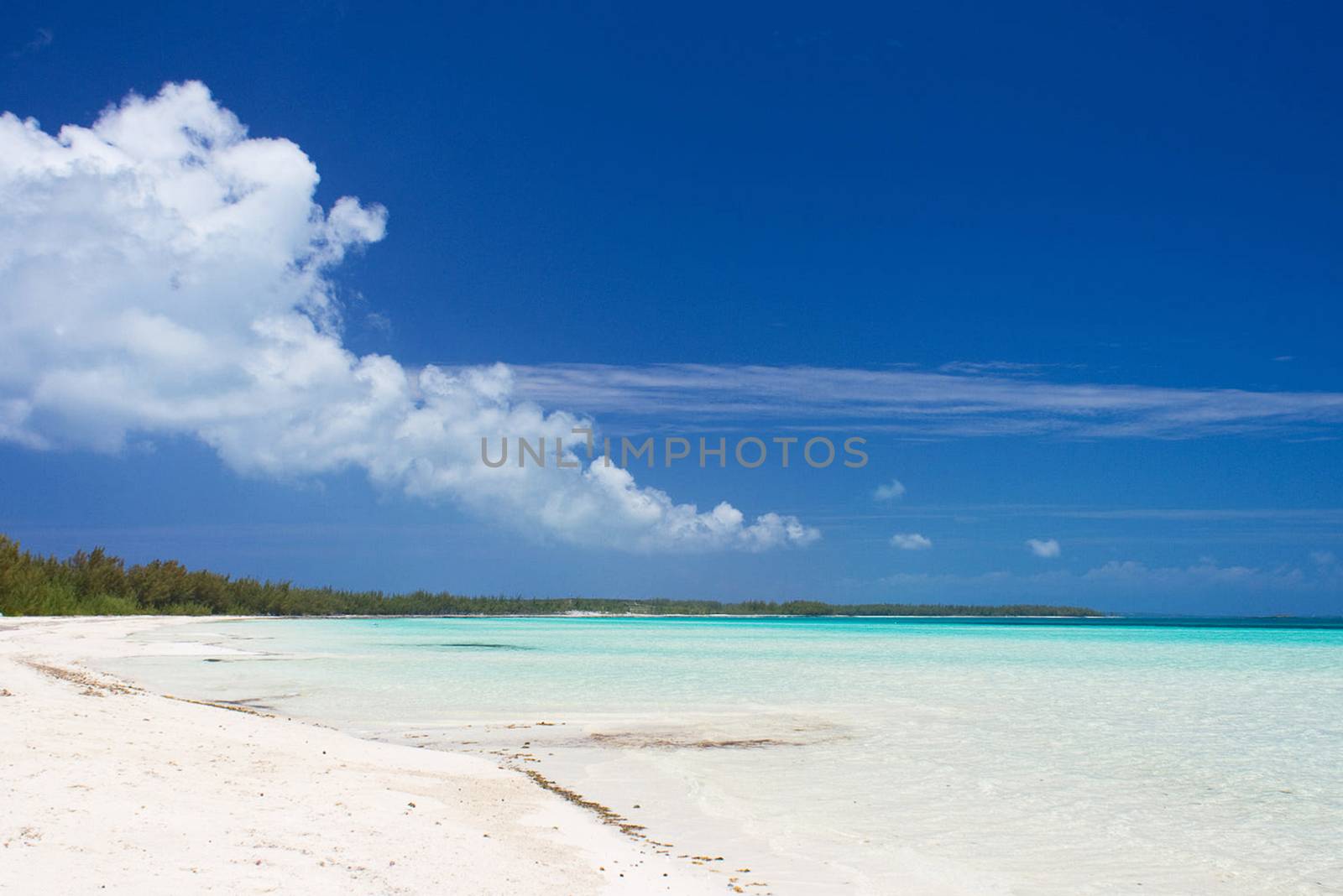 Beautiful pictures of  Bahamas